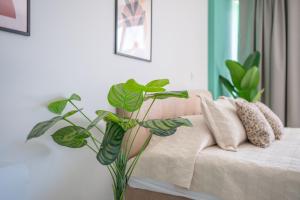 Nalu Luxury Suites Adults Only
