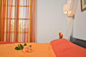 Dilino Hotel Studios Naxos Greece