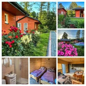 ZIELONY GAJ przy SOLINIE - Łobozew