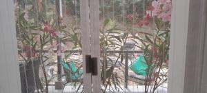 B&B / Chambres d'hotes Sur la Bonnefooi : photos des chambres