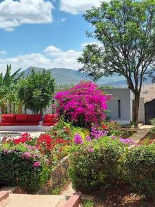 8 bedroom villa in Nanyuki with pool