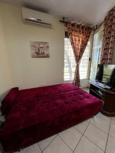 Apartament Golemi