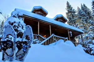 Chalet des Sources SPA Gazebo panoramique - سانت فوستين