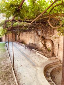 Maisons de vacances Gite de charme du Domaine Pagnon Frigoulette : photos des chambres