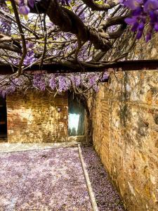 Maisons de vacances Gite de charme du Domaine Pagnon Frigoulette : Maison 1 Chambre