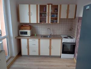 2-room apart with balcony and loggia