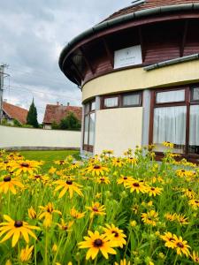 Cozy Garden Apartman