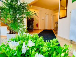 Cozy Garden Apartman