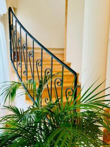 Cozy Garden Apartman