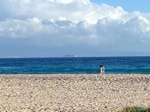 Rustic Cabin Tarifa 4 guests 5 minutes to beach