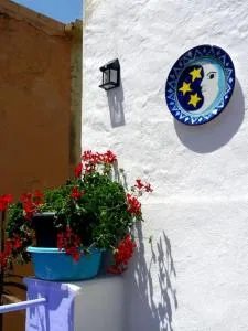 Terres de l'Ebre experience - Valentíns