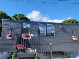 Nead Neamhaí - Coolcorcoran Bridge