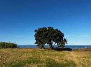 Maison a la plage - Figareto