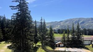 Résidence Les Cytelles - Studio pour 4 personnes à Méribel Altiport, au pied des pistes et proche du golf MAE-1804