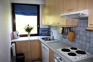 Résidence Bec Rouge - Vue lac, sur les pistes MAE-3510