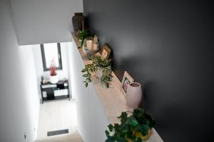 Big Sky Apartmani