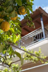 Cozy loft Big balconycomfort Near Sarandë