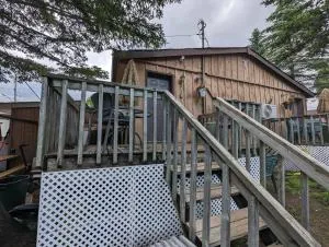 Modern Tiny Wood Cottage 03 - Tiny