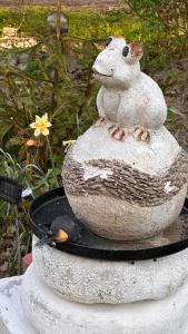 ZIELONY GAJ przy SOLINIE