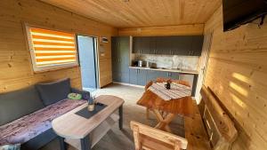 ZIELONY GAJ przy SOLINIE