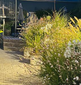 Appartements Mer et fougeres : photos des chambres