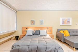 Lindo LOFT en Corazon de Durango con Minisplit