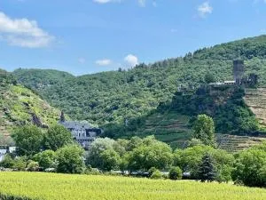 FeWo Elbling - Kastellaun