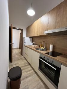 Apartment Bracovic - city center 2
