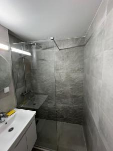 Apartment Bracovic - city center 2