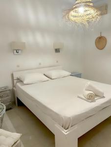 The Palm Tree Apartments