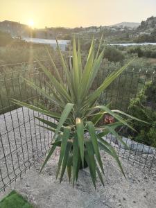 Apartment Kerum Plus Rooftop with Intex Pure Spa