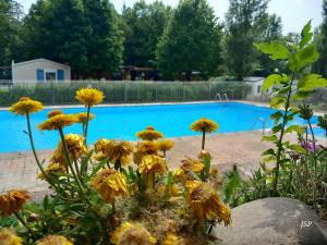 Campings Chalet Zen : photos des chambres
