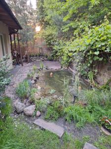 Casa de Tango -Apartament i osobne 2pokoje