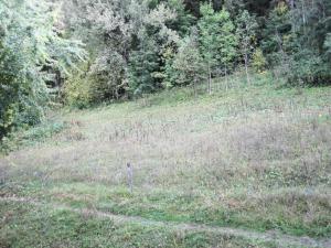 Le Chalet De Montchavin - Bel appartement proche du centre MAE-4354