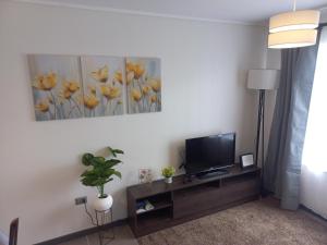 Tu lugar en Villarrica