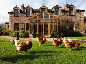 布莱克威尔客舍 - Tandragee