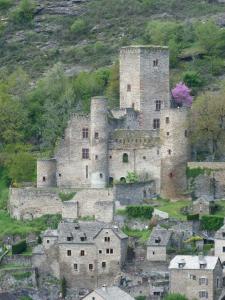 Appartements Oustal haut : photos des chambres