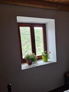 Rural Homestead Vujosevic