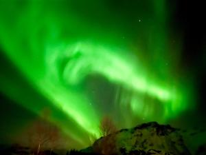 Lofoten glampingdome
