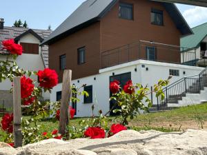 Žabljak Apartments