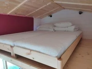 Tiny House des Etangs - La Chaise-Beaudouin