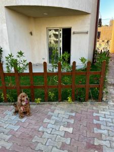 Cozy Chalet North Coast شاليه في الساحل الشمالي