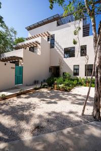 Penthouse with private jungle, pool, downtown