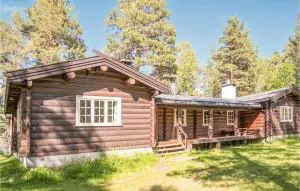 Lovely Home In Drevsjø With Lake View - Rendalen