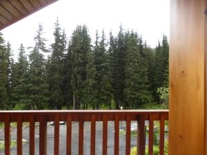 Résidence Les Genelles - Appartement 3 Pièces situé à Méribel Altiport au pied des pistes de ski et proche du golf MAE-6691