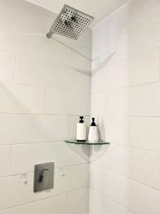 Balcón con vista al lago 1017