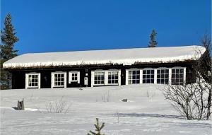 Amazing Home In Rendalen With Wifi