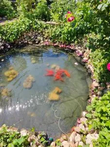 entire floor of a house - Karlskrona