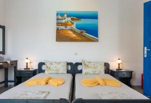 Firoa Studios Donousa-Island Greece