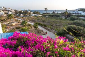 Firoa Studios Donousa-Island Greece